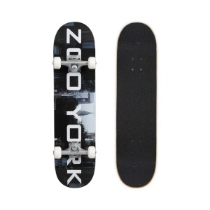 SKATEBOARD ZOO YORK CITY