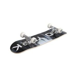 SKATEBOARD ZOO YORK CITY