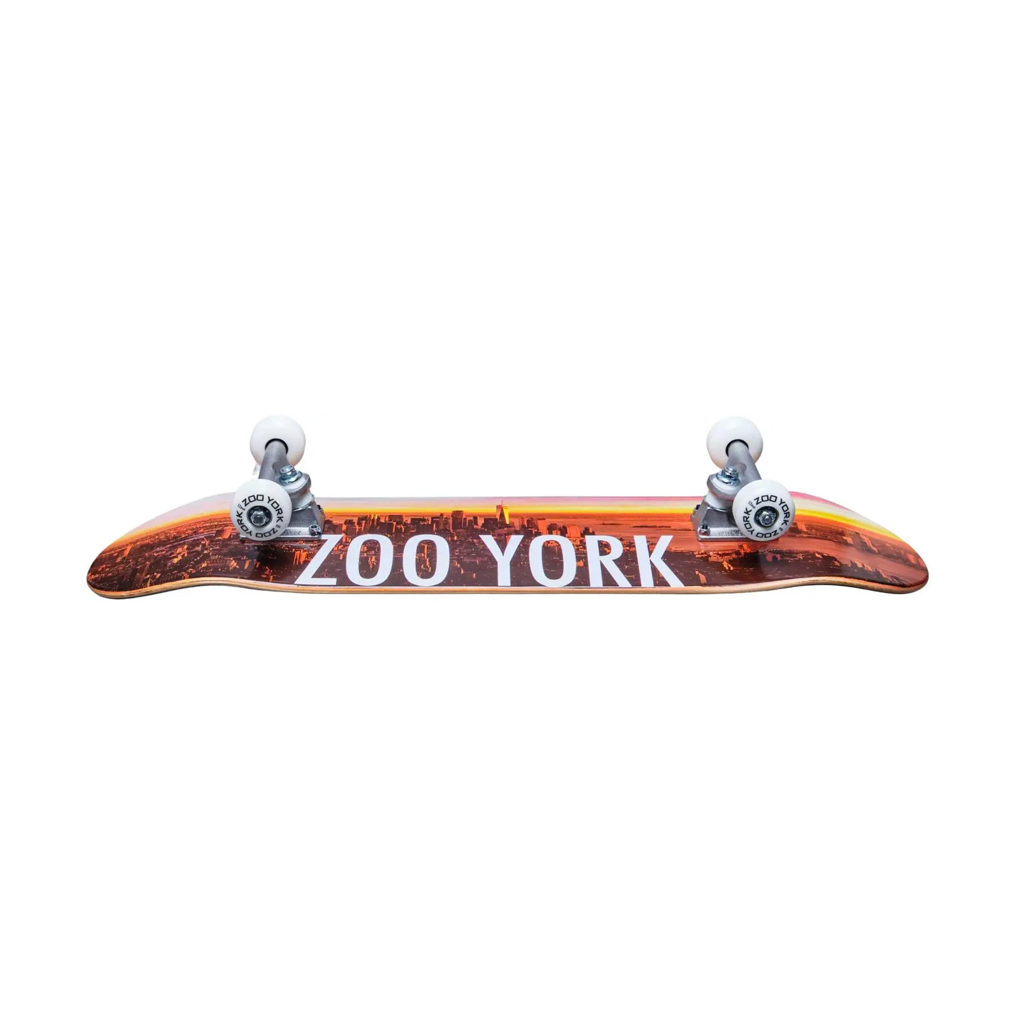 SKATEBOARD ZOO YORK CITY