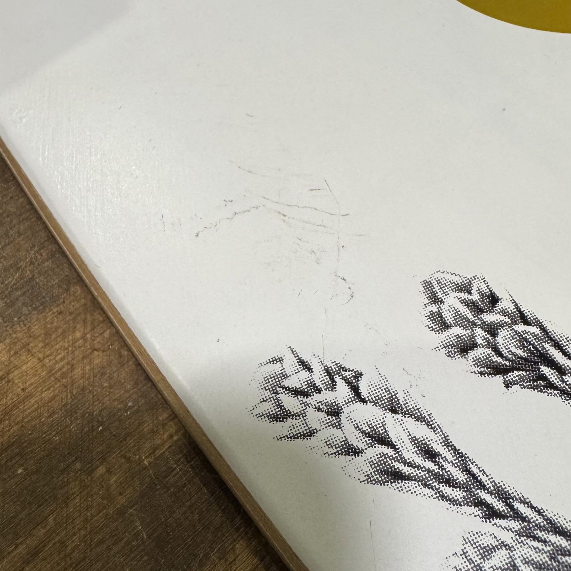 Mini Longboard Arbor Bamboo Zeppelin 32" | Achat En Ligne | Jack'n Roll