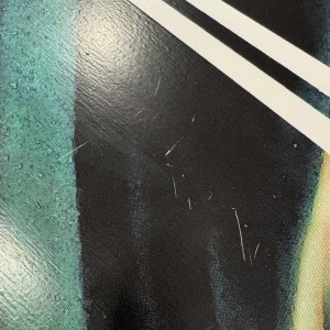 Longboard Long Island Teal 35" Pintail | Achat En Ligne | Jack'n Roll